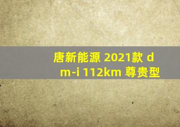 唐新能源 2021款 dm-i 112km 尊贵型